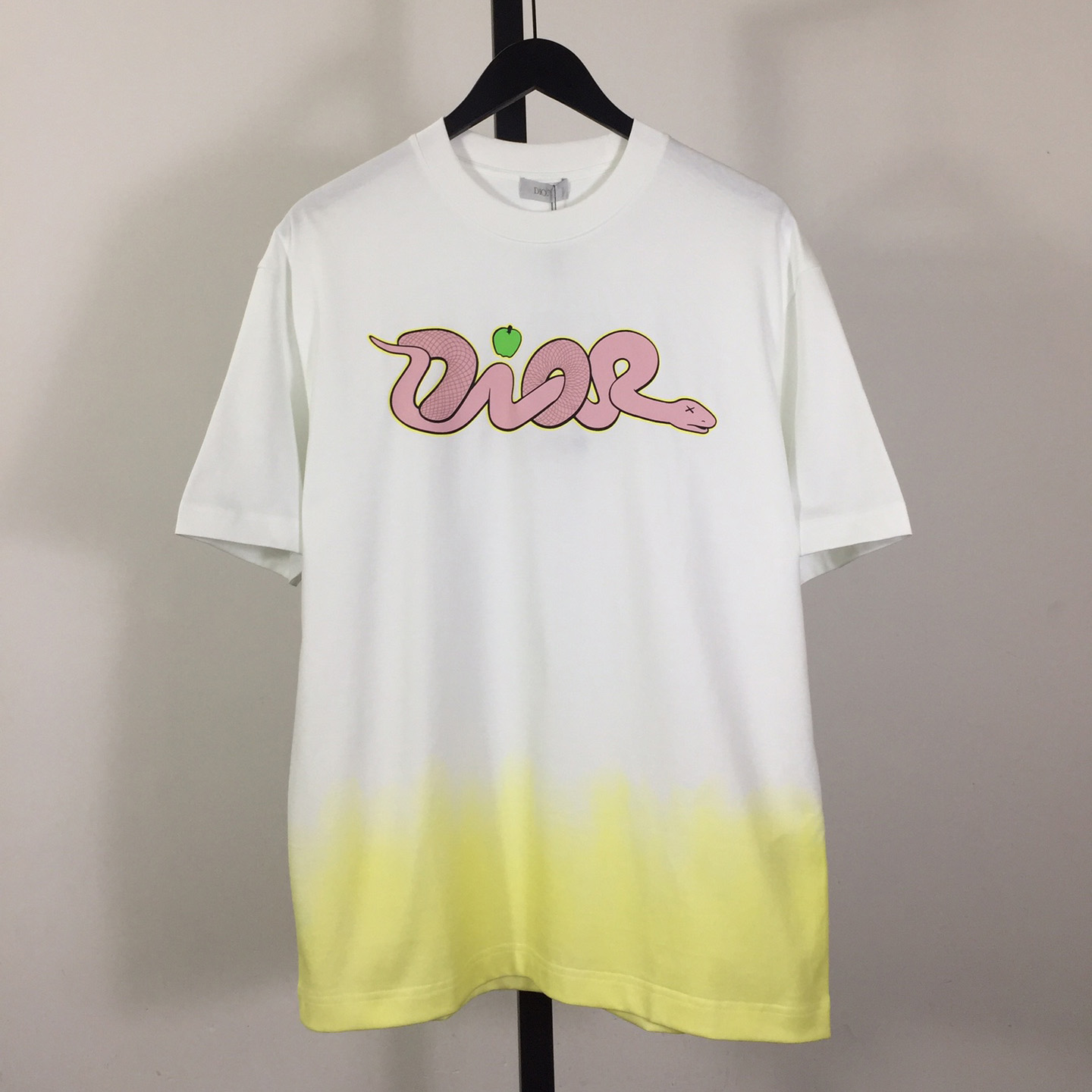 Dior Logo T-Shirt  - DopestKickz