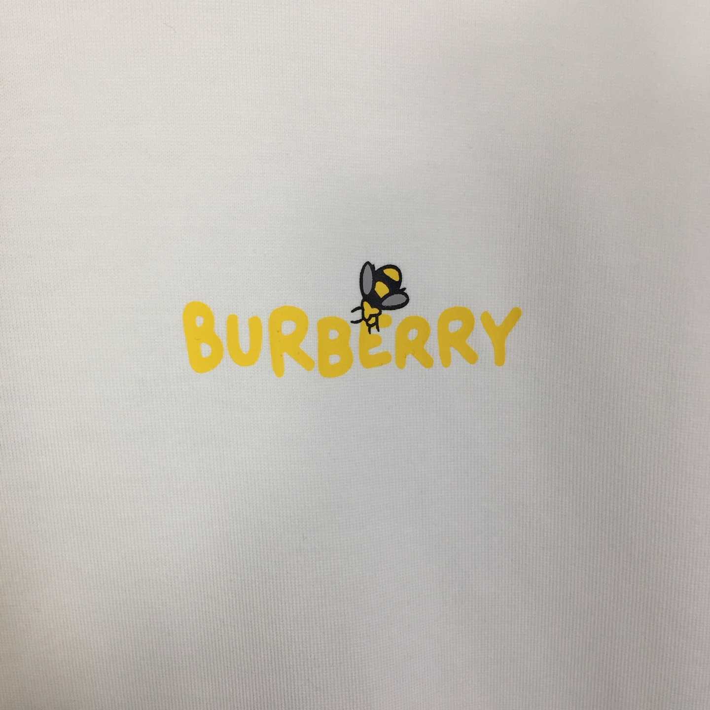Dior T-shirt With Bee Print - DopestKickz