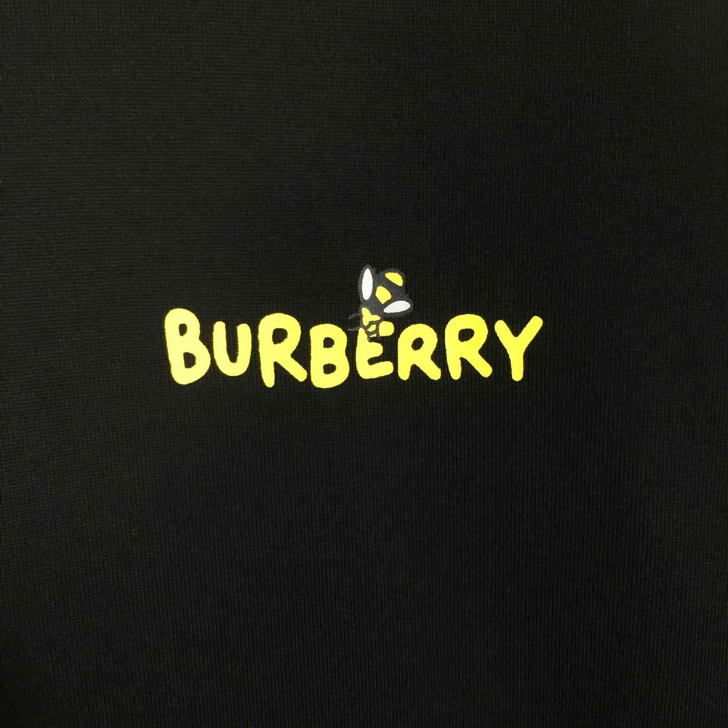Dior T-shirt With Bee Print - DopestKickz