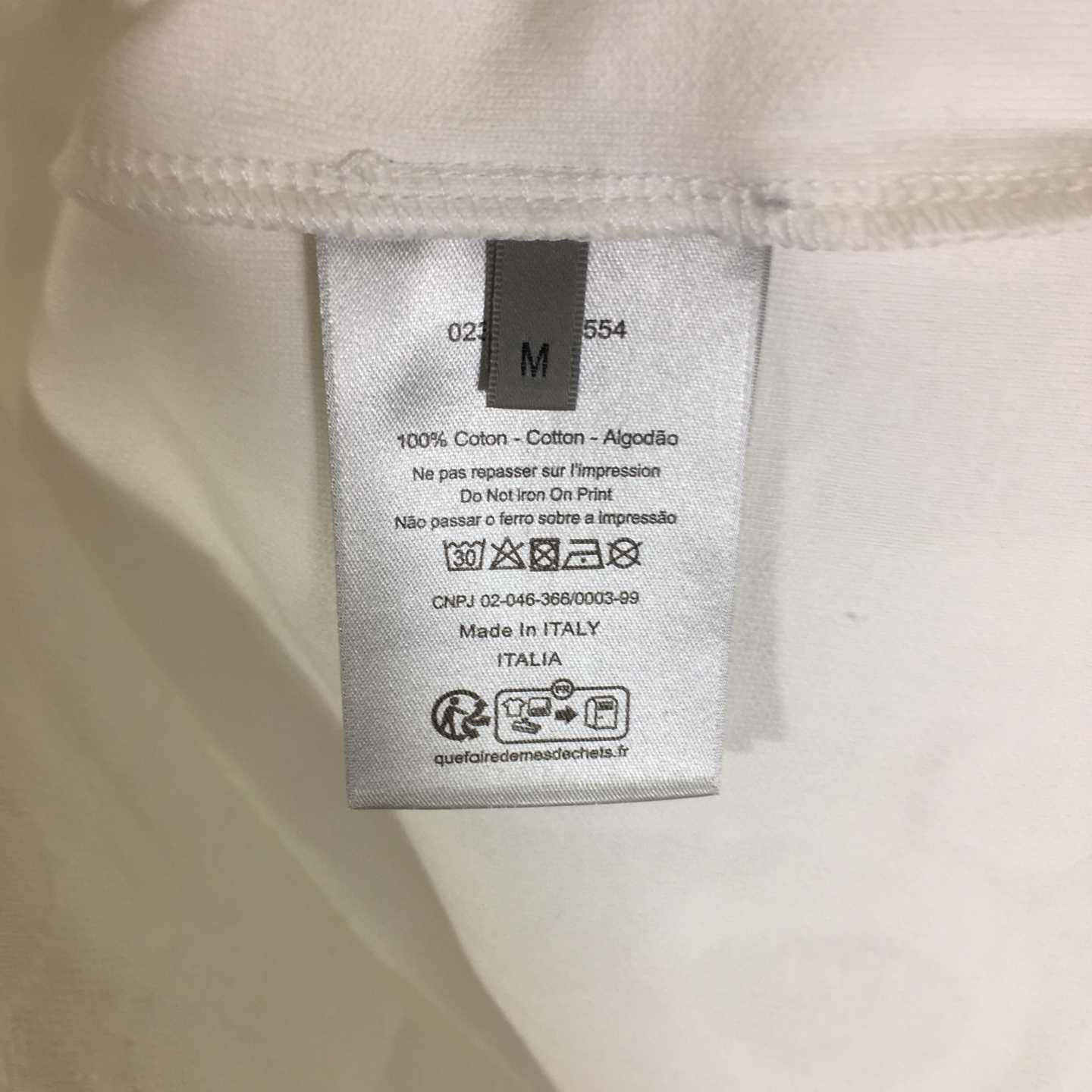 Dior Oblique T-Shirt, Relaxed Fit  - DopestKickz
