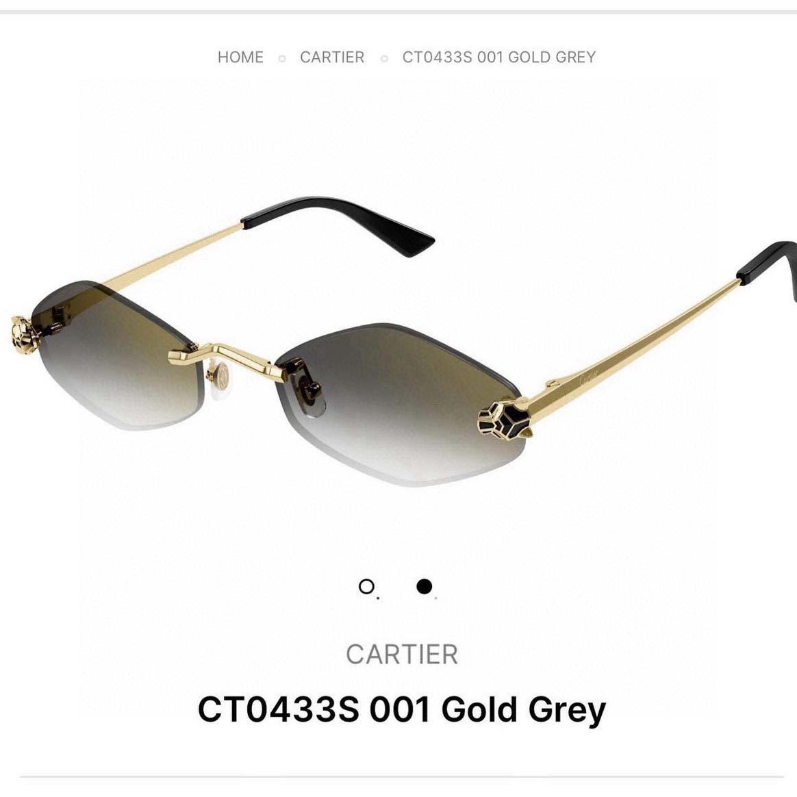 Cartier Sunglasses - DopestKickz