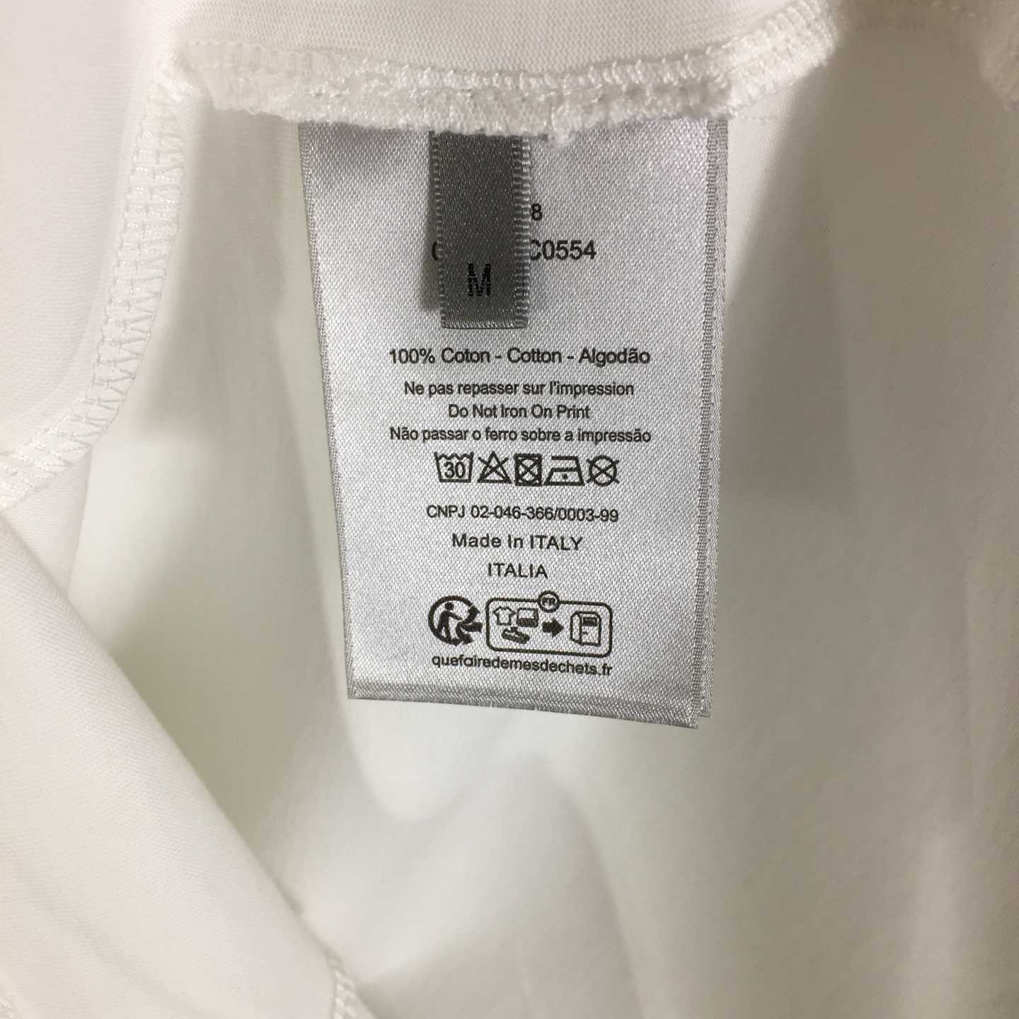 Dior Diorling T-Shirt, Regular Fit  - DopestKickz