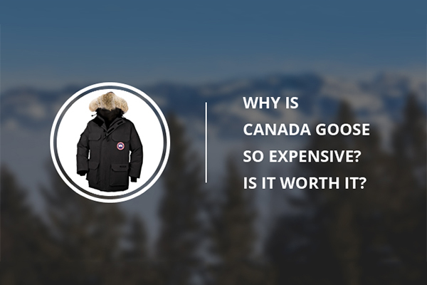 Is The Canada Goose Emory Jacket Worth It?  - DopestKickz